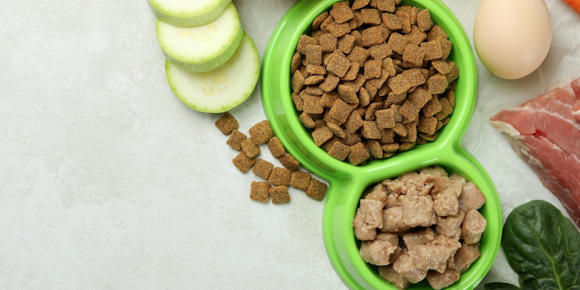 Understanding Pet Food Types: Raw, Freeze-Dried, Dehydrated & Kibble