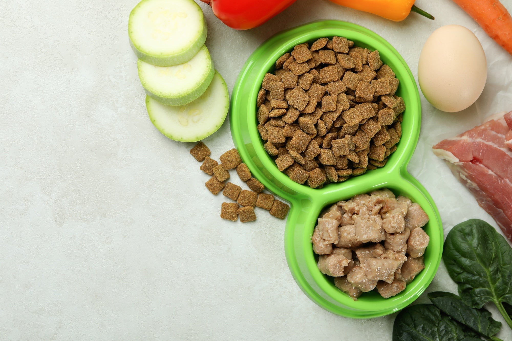Understanding Pet Food Types: Raw, Freeze-Dried, Dehydrated & Kibble